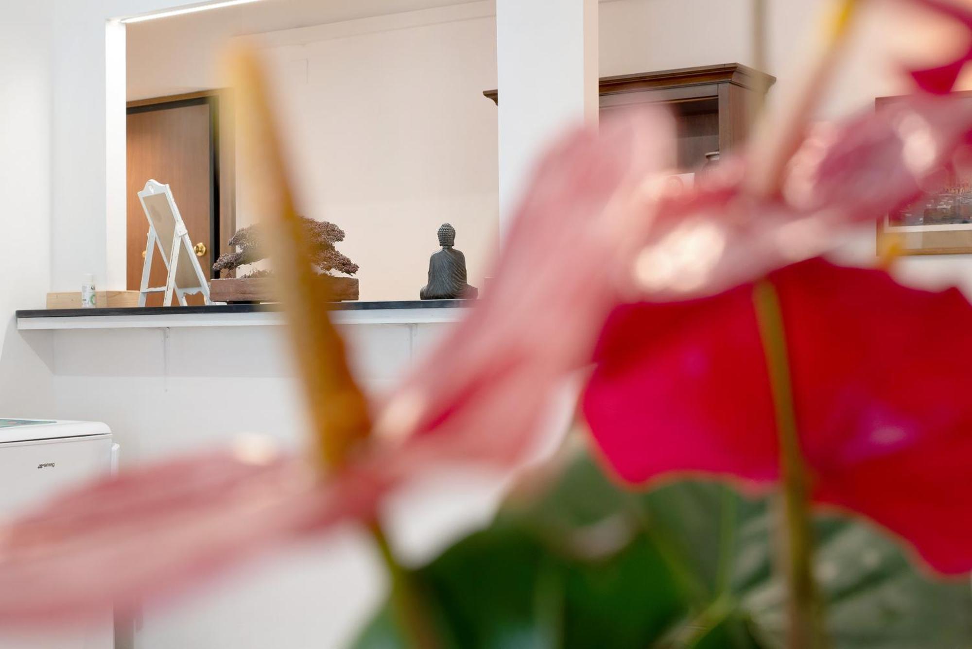 Ohana Appartement *
